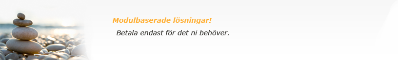 Modulbaserade lösningar, betala endast för det ni behöver!